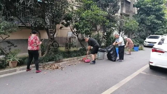 扮靓蓉城迎大运 成都高新区这个街道开启夏季大扫除