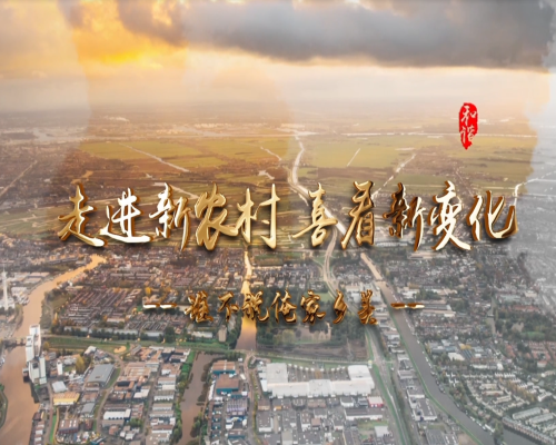 走进新农村 喜看新变化（上）