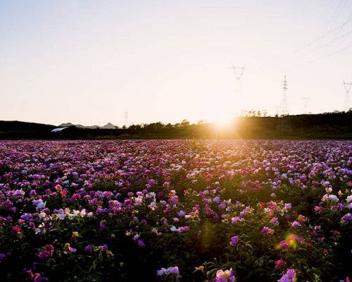 瓦房店精品旅游路线