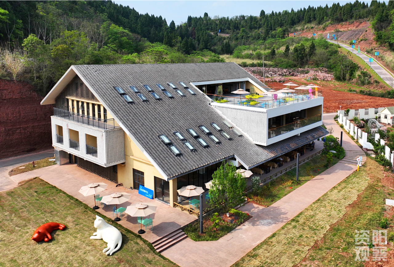 资阳：“数字游民”现身说法讲述精彩“社区生活”