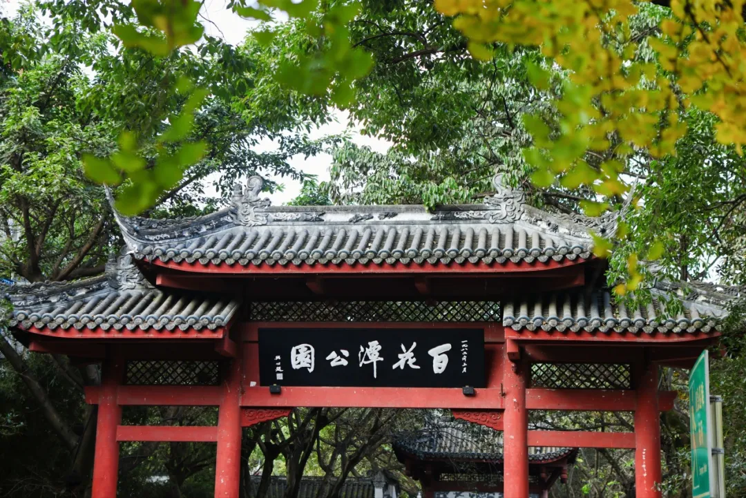 巴金｜人活着要让生命开花